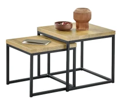 Profijt Meubel Bijzettafel Salernes 50 en 44 cm vierkant