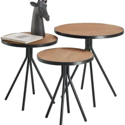 Profijt Meubel Bijzettafelset Chiva bruin