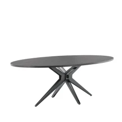 Profijt Meubel Eettafel Levado 225x120 cm ovaal