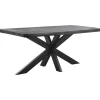 Profijt Meubel Eettafel Newhaven zwart mangohout 220x100 cm rechthoekig