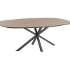 Profijt Meubel Eettafel Rizoma 220x120 cm Deens ovaal