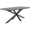 Profijt Meubel Eettafel Walden zwart eikenhout 220x110 cm Deens ovaal