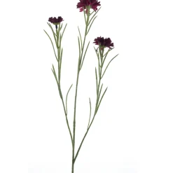 Profijt Meubel Kunstboem Centaurea rood