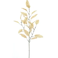 Profijt Meubel Kunsttak Dorzano eucalyptus 72 cm bruin